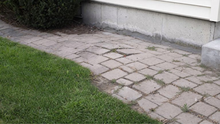 Failed paver walkway with heaved, uneven pavers and weeds growing in the joints beside a home foundation